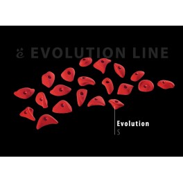 Evolution S Evolution S