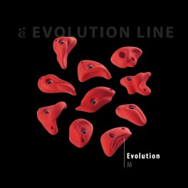 Evolution M