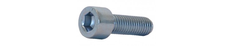 Caphead bolts