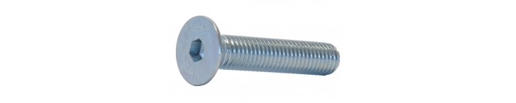 Countersunk bolts